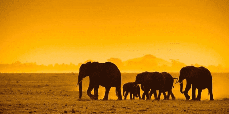 3 Days 2 Nights  Serengeti And Ngorongoro Crater Safari